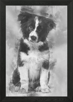 Border Collie Welpe 17 wee gerahmtes Wandbild Poster Leinwanddruck Bild