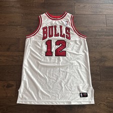 Kirk Hinrich Bulls Jersey Size 46