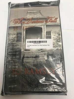 The Dark Lines Book Two: When Darkness Falls, Jo Ramsey, New