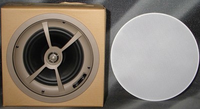 proficient speakers ceiling