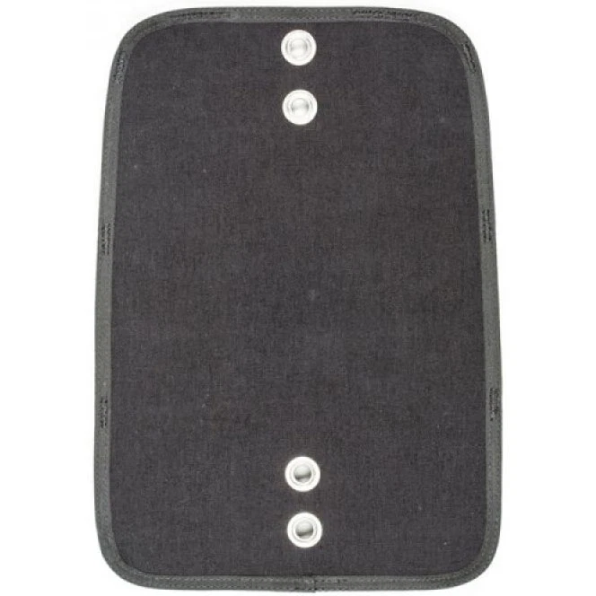 Placa de peso Hollis SMS100 Foto 2 de 3