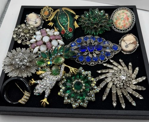 Lot Of Vintage Costume Jewelry Brooches Rhinestones Cameo Frogs Crystals