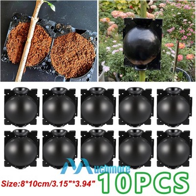 10x Black Propagation Tree Plant Rooting Ball Branch Root Grow Box Nursery Pot