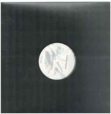 Daddy Freddy Respect Due Vinyl Single 12inch Chrysalis Records
