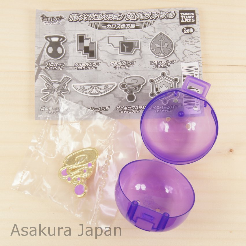 ポケットモンスター
タウンマップ　×8冊 Pokemon XY&Z Metal collection Gym badge Special Anistar City