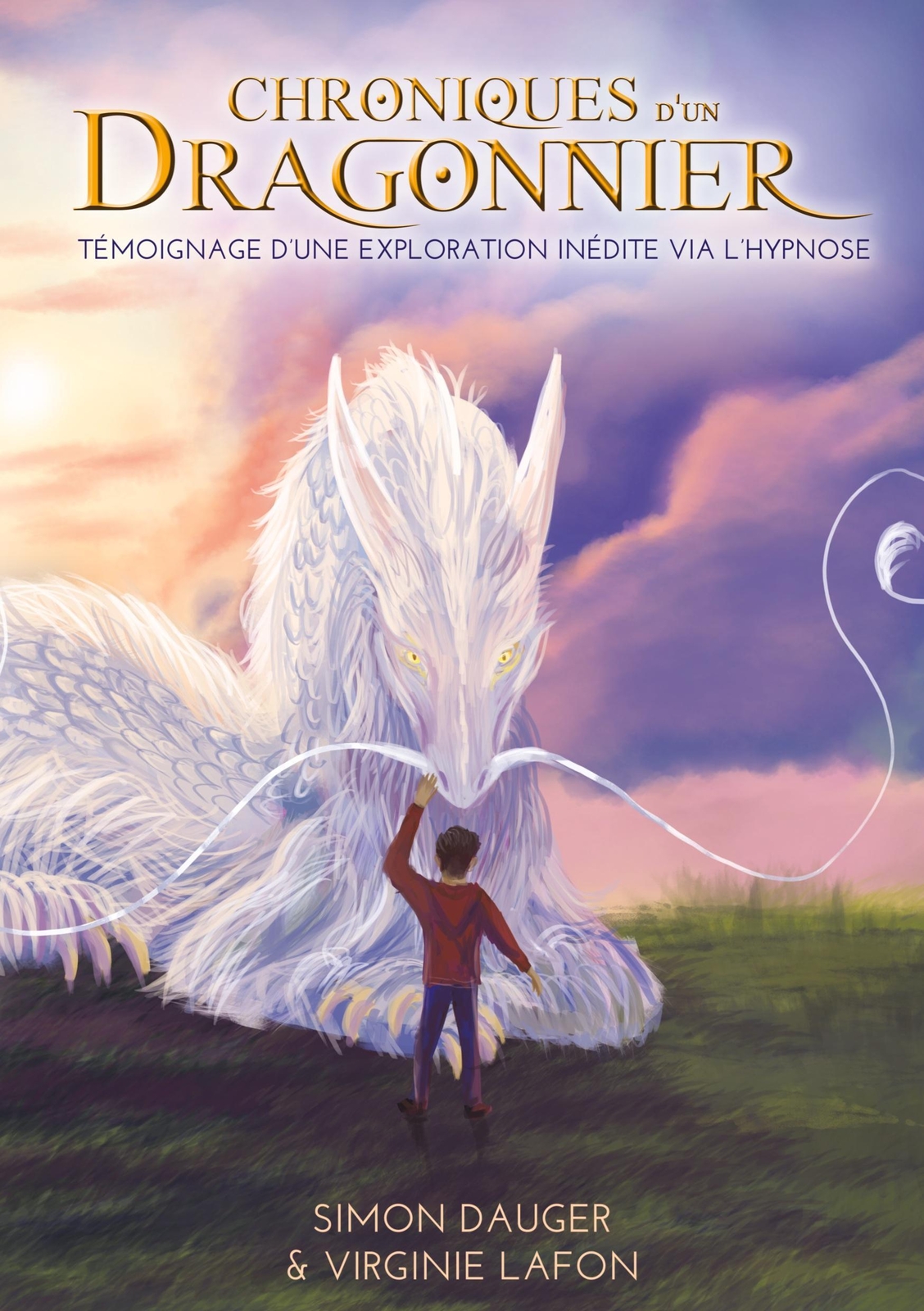 Thumbnail - Chroniques D'un Dragonnier | Virginie Lafon (u. A.) | Taschenbuch |