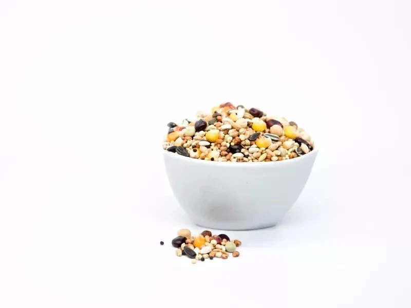 25kg Mauserfutter Taubenfutter Mauserhilfe Proteinfutter Mauser Vogel 25 kg - Bild 3 von 4