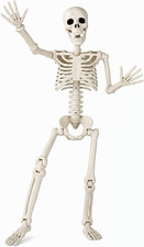 36" Halloween Skeleton, 3 Ft Human Skeleton Full Body Posable Joints Plastic Ske