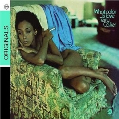 TERRY CALLIER ''WHAT COLOR IS LOVE'' CD NEU