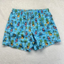 Boardies Swim Trunks Large Cartoons Pineapple Swimsuit Blue