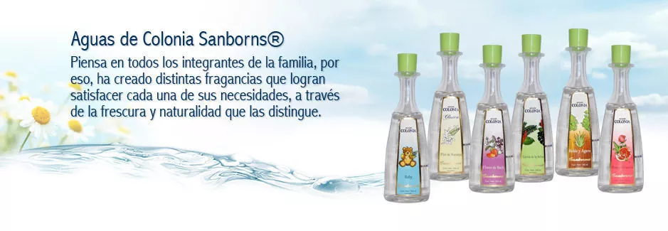 Imagen 2 de 2