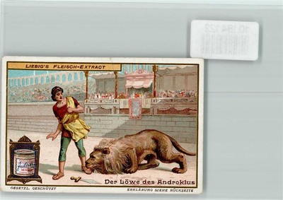 10184122 - the lion of Androclus - collectible picture Liebig Roemer