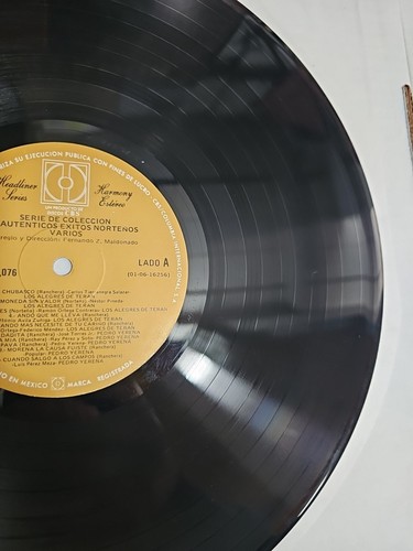 20 AUTENTICOS Exitos Norteños Alegres De Teran Pedro Yerena Varios Vinyl - EX - Picture 3 of 5