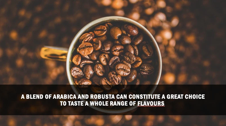 10 Cajas 200 Sobres Issaline Café Latte Puro Ganoderma Café Gourmet - DHL Foto 4 de 4