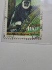 Ivory Coast Guereza Colobus Monkey Postage Stamp — photo 4