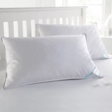 Sweet Home Collection Feather Pillow, Standard (Pack of 2), White Count