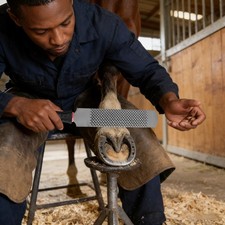 Hoof Rasp Horseshoe File with Handle High-Carbon Steel Hoof Rasp 32cm/12.6in L