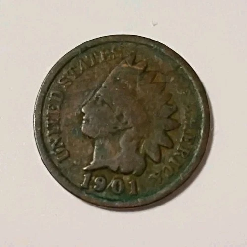 1901 Indian Head Small Cent Bronze Circulated US Coin Uncertified BN
