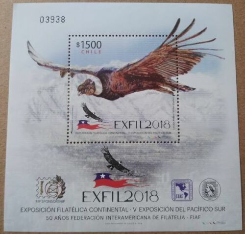 1963 URUGUAY LATIN AMERICA WILDLIFE BIRD ZORZAL 2C VF MNH | eBay
