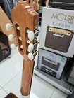 Foto 7 di 12