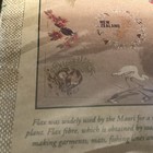 Vintage New Zealand Wildlife Natural Flax by Derek Tablecloth 52" x 52" Takahe  — photo 7