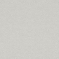 Rasch Textil Tapete Rivera 295589 Hellgrau Uni Vliestapete