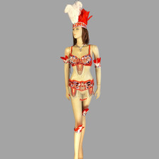 Parade Rio Carnival Samba Dance Costume Feather Headdress Bra Belt Arm/Leg Bands
