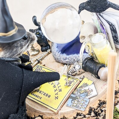 Witch mouse Alter Table display Taxidermy Oddities Curiosities Decor halloween