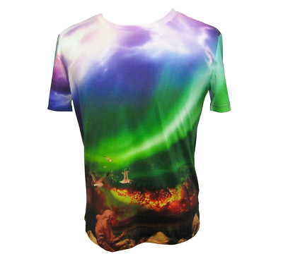3D Graphic Aurora Borealis Volcano Seagulls Mens Medium Short Sleeve T-Shirt Top