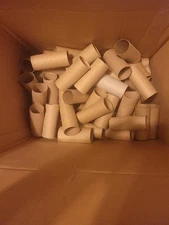 100 Toilet Paper Rolls for arts and crafts