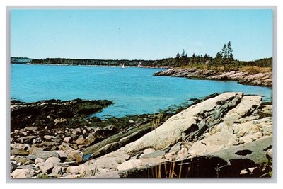 Maine Coast Famous For Rocky Shores, Coves & Inlets Scenic Seaside Postcard