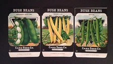 1930s Litho Antique Vintage Seed Packets Bush Beans Card Seed Co. Packs Mint
