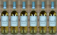 Torresella Pinot Grigio Venezia Doc 2025 ( 6 X 0,75 Lt. )