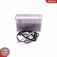 Esen SKV Sensor Abgastemperatur 30SKV324 FüR BMW 2Er Tourer F46 Active F45 X1