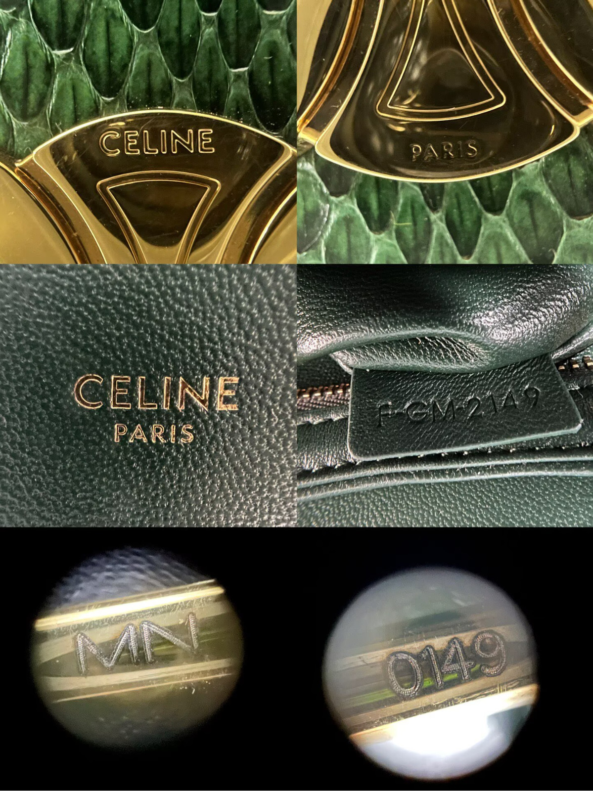 Rare Gloss Green Snake Embossed Celine Mini Triomphe Crossbody Bag Gold Triomphe image 7