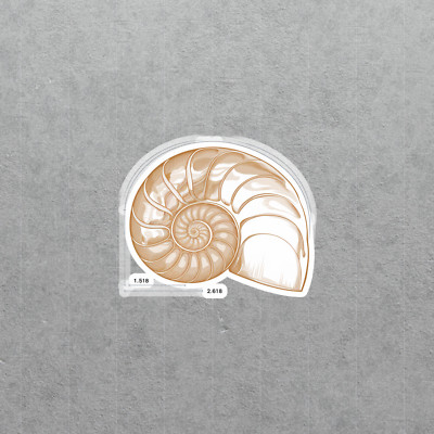Golden Ratio Fibonacci Spiral Science Math Art Sticker Decal #5164