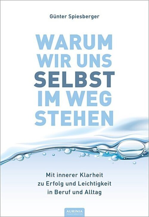 Warum Wir Uns Selbst Weg Stehen | Günter Spiesberger | Buch | 296 S. |