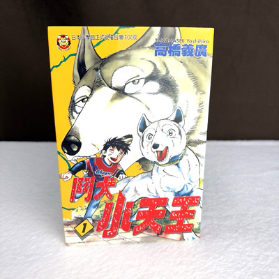 Vtg 1993 Byakuren No Fang #1 Yoshihiro Takahashi Tong Li Chinese Manga Book
