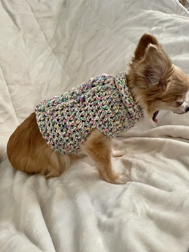 crochet puppy clothes