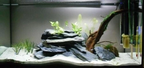 DIY/How to make a rock/slate/structure for a fish tank/aquarium