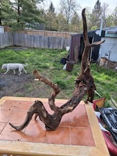 XXX-Large Driftwood 31"x31"x9"Aquarium Terrarium Reptile Natural Art