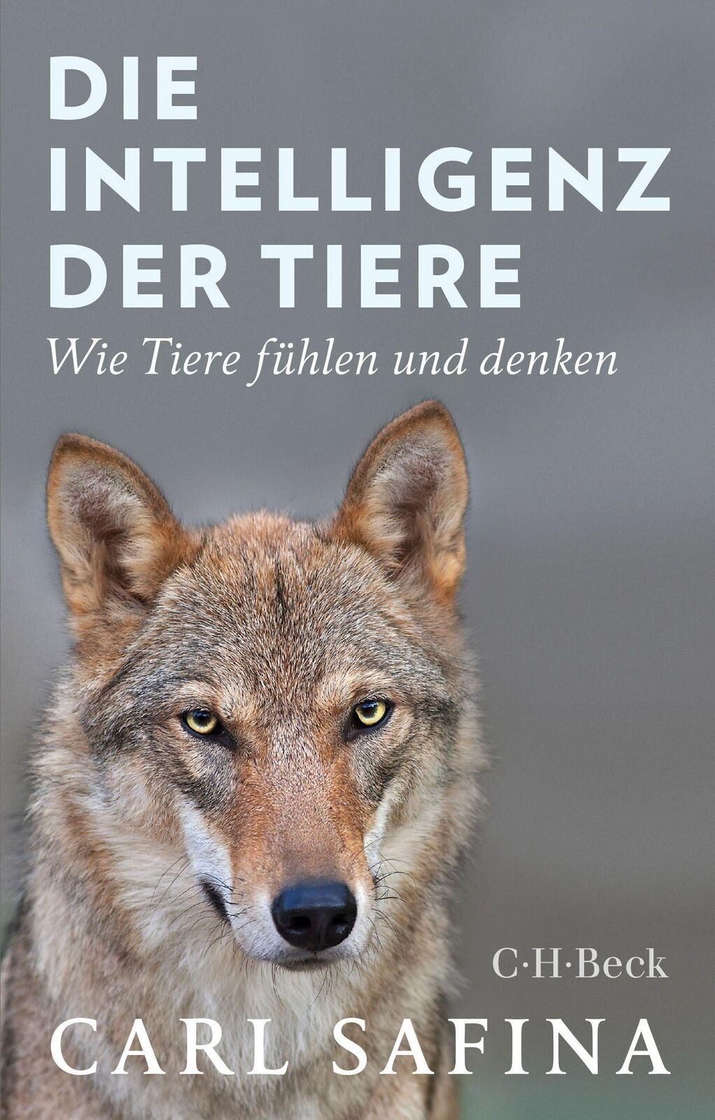 Thumbnail - Die Intelligenz Der Tiere | Buch | 9783406739583