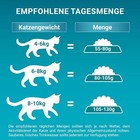Bild 4 von 6
