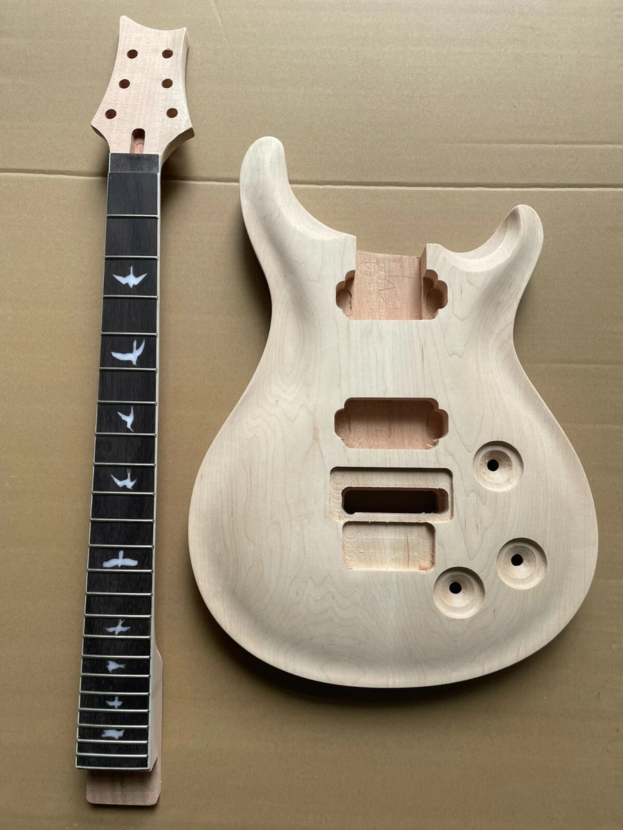 Diy guitar 2024 kit floyd rose