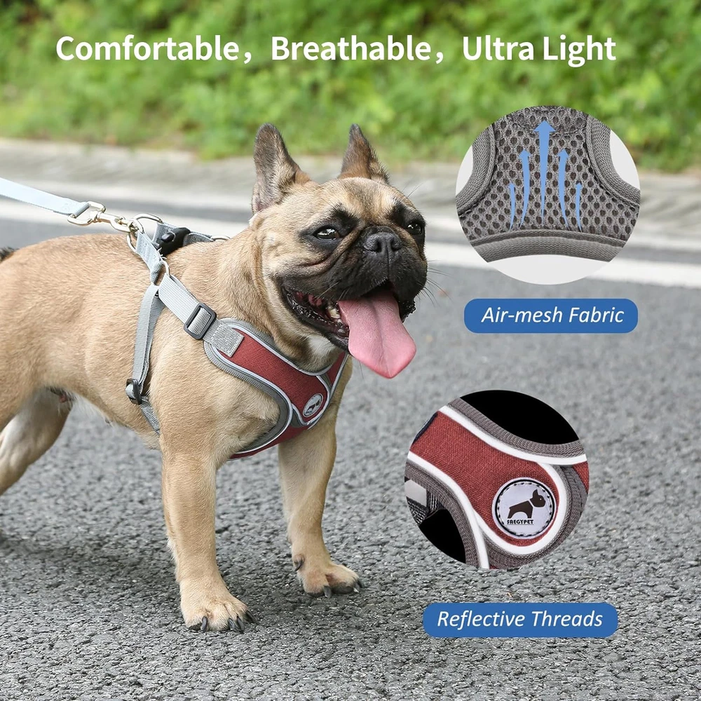 Dog Harness with Leash Set, No Pull Adjustable Step in Dog Collars Harness with