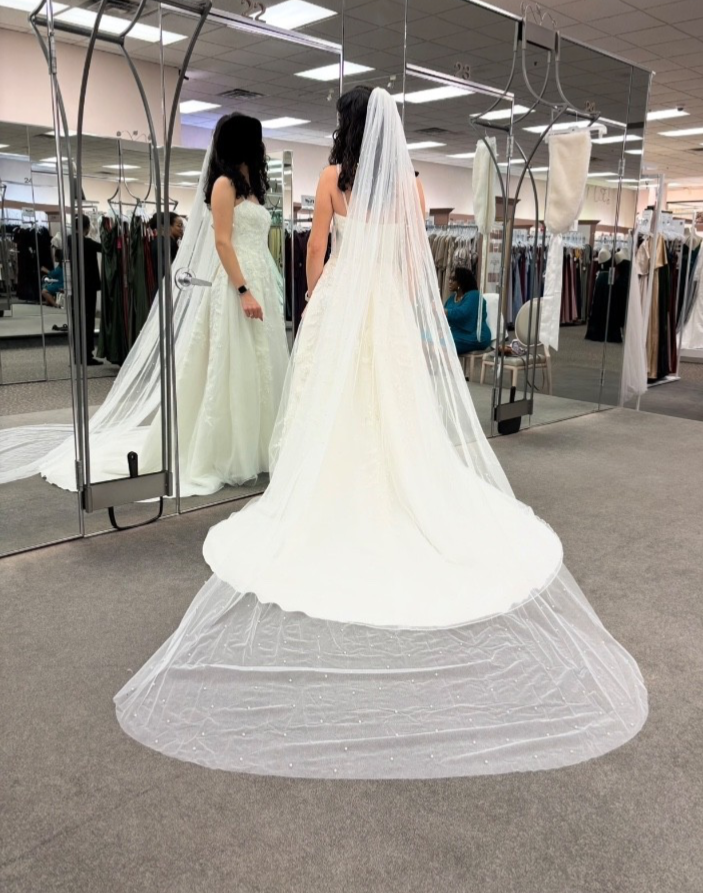 NEW WEDDING DRESS - Oleg Cassini Ivory Tulle Lace Beaded Size 6, Bustled NEW WEDDING DRESS - Oleg Cassini Ivory Tulle Lace Beaded Size 6, Bustled
