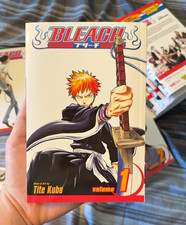 Bleach Vol. 1 - 21 Manga Paperback (English) ...