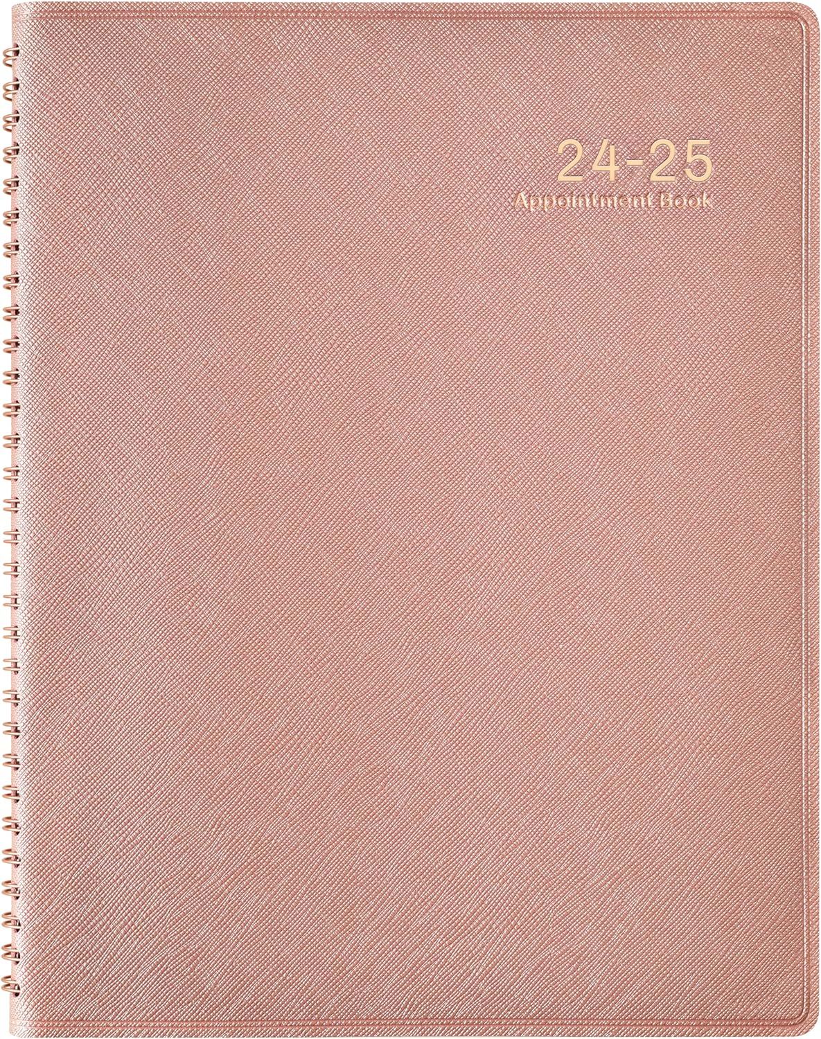 2024-2025 Weekly Appointment Book/Planner - 53 Weeks Daily Planner 2024-2025, Ju