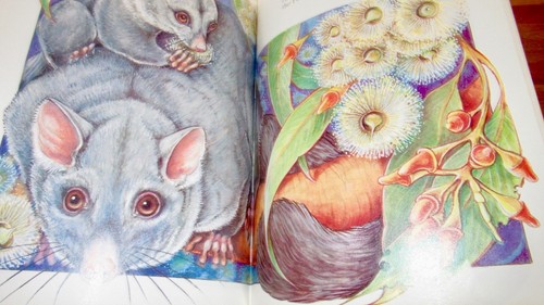 BUSH WALK ~ Tricia Oktober. Aust Wildlife SOFTc RARE Gem! UNread HERE in MELB - Picture 9 of 12