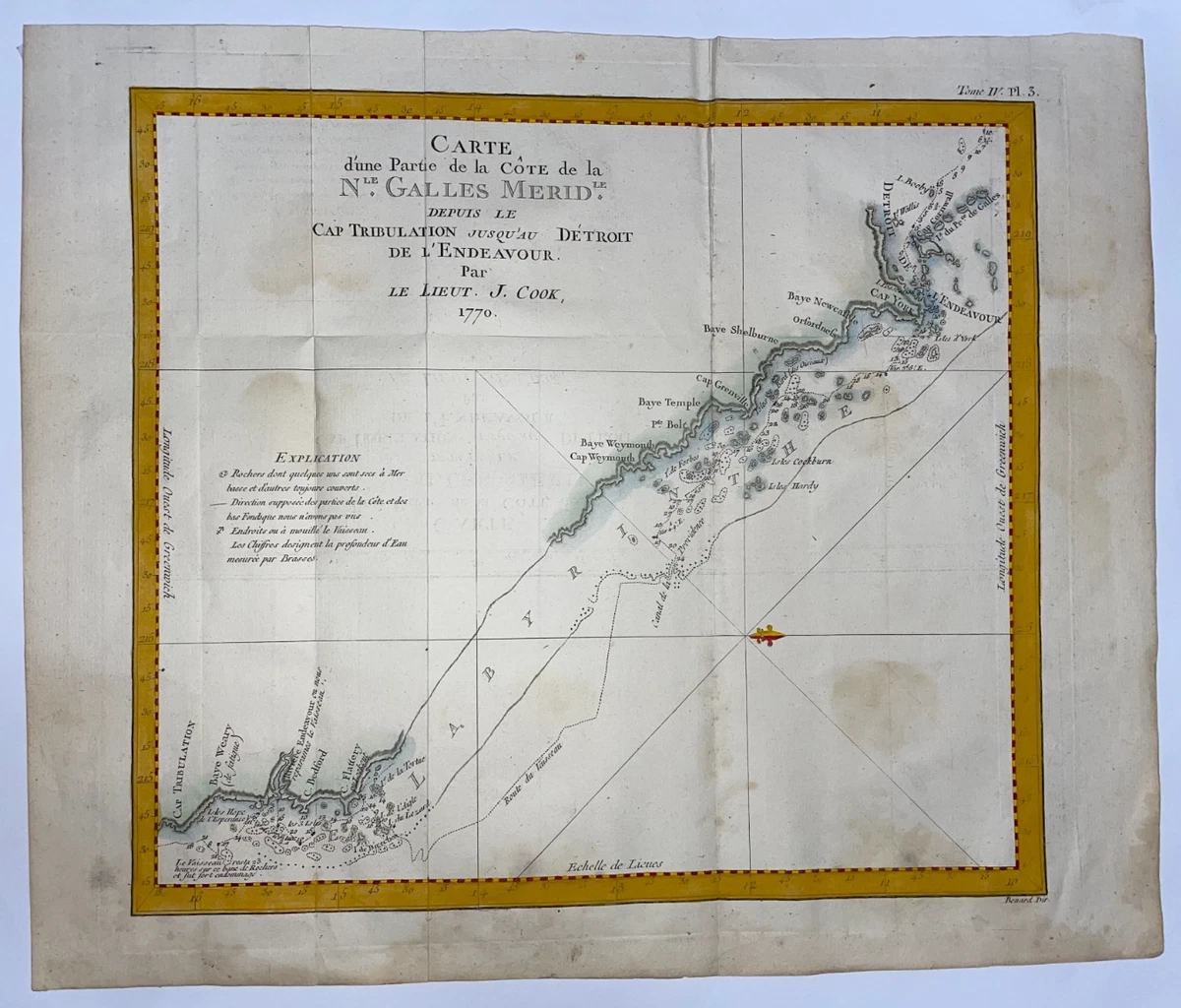 Un pin de l'île Norfolk est la plante d'intérieur parfaite pour Noël
